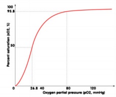 Oxygen Haemoglobin Dissociation Curve Oxygen Haemoglobin Dissociation Curve