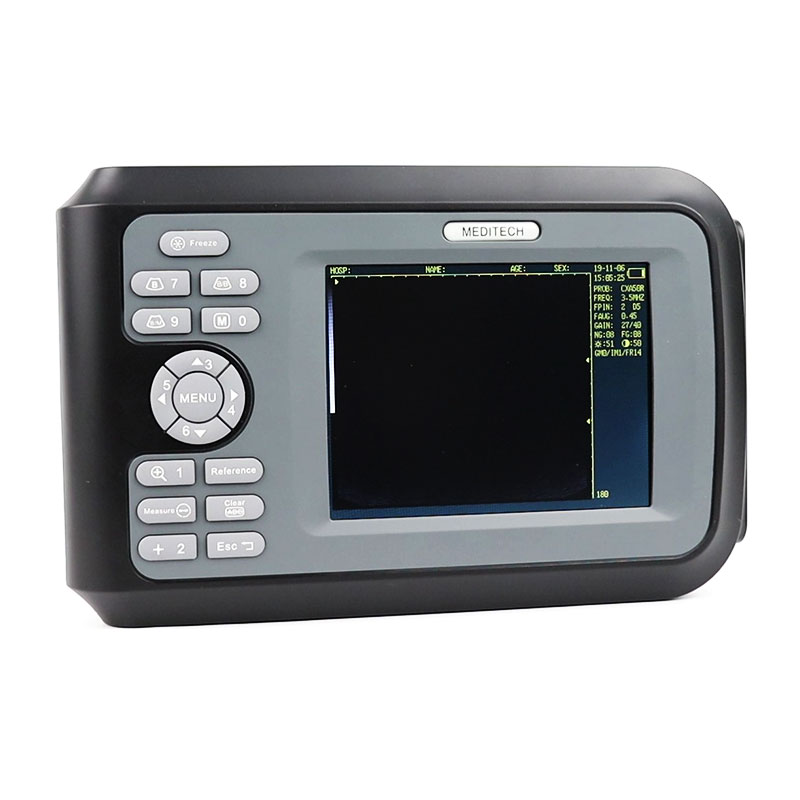 Sonovet, veterinary ultrasound